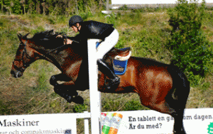 Melin 0032 300x189 Resultat