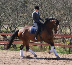 alianaridsport 300x271 Resultat