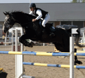 chimay 300x273 Resultat