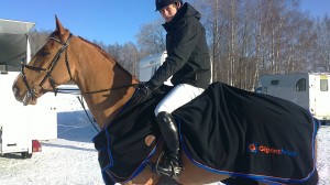 vicke hamre 300x168 Resultat